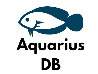 Logo projet app aquarius